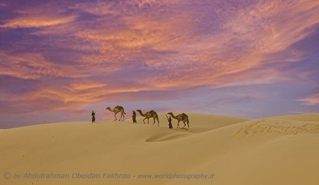 Desert the Qatar 
